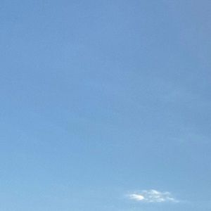 Meet your Posher, Genesis